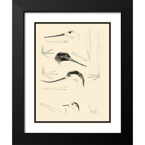 Waterbird Sketchbook V Black Modern Wood Framed Art Print with Double Matting by Vision Studio