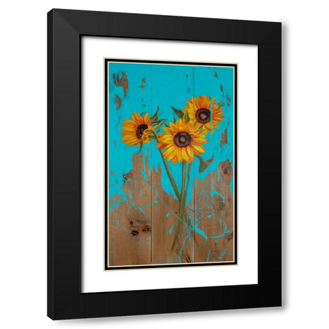Sunflowers on Barnwood II Black Modern Wood Framed Art Print with Double Matting by Iafrate, Sandra