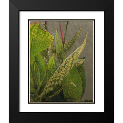 Non-Embellished Dramatic Leaves II Black Modern Wood Framed Art Print with Double Matting by Zarris, Charliklia