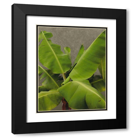 Non-Embellished Dramatic Leaves III Black Modern Wood Framed Art Print with Double Matting by Zarris, Charliklia