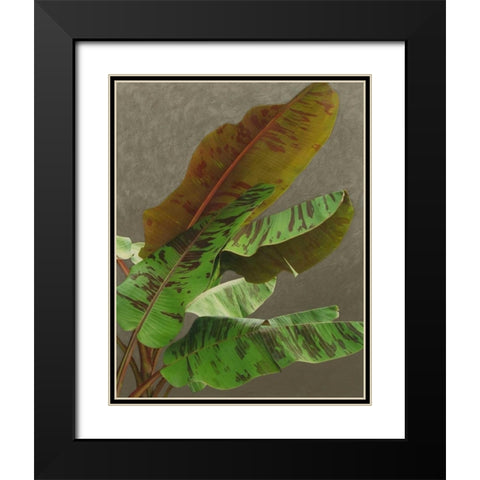 Non-Embellished Dramatic Leaves IV Black Modern Wood Framed Art Print with Double Matting by Zarris, Charliklia