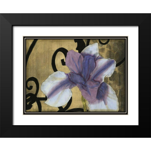 Iris and Scrolls II Black Modern Wood Framed Art Print with Double Matting by Goldberger, Jennifer