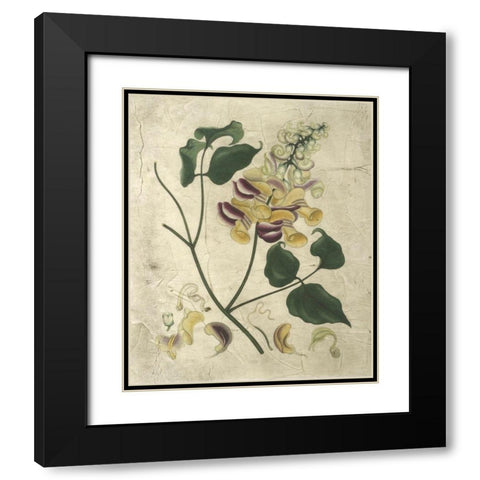 Aubergine Florals I Black Modern Wood Framed Art Print with Double Matting by Vision Studio
