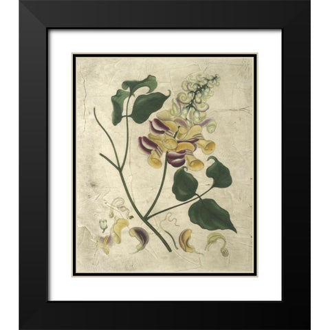 Aubergine Florals I Black Modern Wood Framed Art Print with Double Matting by Vision Studio