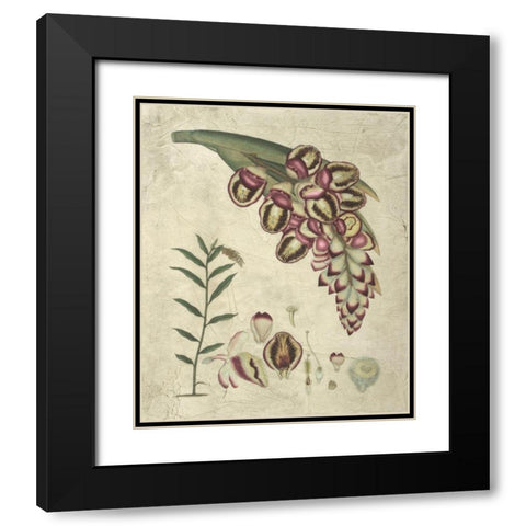 Aubergine Florals II Black Modern Wood Framed Art Print with Double Matting by Vision Studio