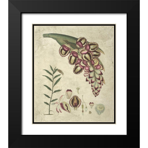Aubergine Florals II Black Modern Wood Framed Art Print with Double Matting by Vision Studio