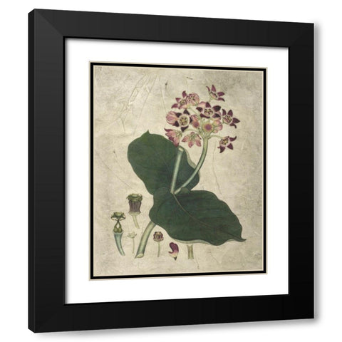 Aubergine Florals III Black Modern Wood Framed Art Print with Double Matting by Vision Studio