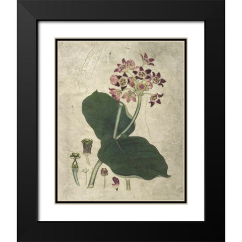 Aubergine Florals III Black Modern Wood Framed Art Print with Double Matting by Vision Studio