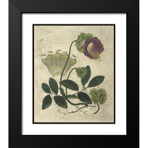 Aubergine Florals IV Black Modern Wood Framed Art Print with Double Matting by Vision Studio