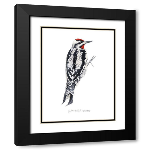 Watercolor Woodpecker I Black Modern Wood Framed Art Print with Double Matting by Popp, Grace