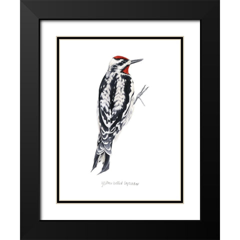 Watercolor Woodpecker I Black Modern Wood Framed Art Print with Double Matting by Popp, Grace