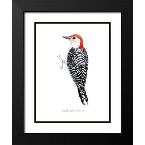 Watercolor Woodpecker III Black Modern Wood Framed Art Print with Double Matting by Popp, Grace