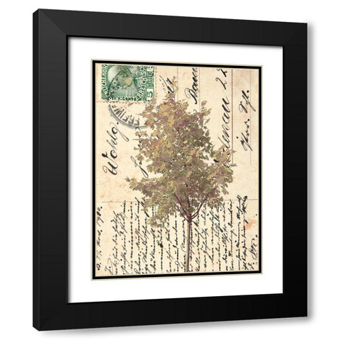 In Good Spirits II Black Modern Wood Framed Art Print with Double Matting by Saunders, Alonzo