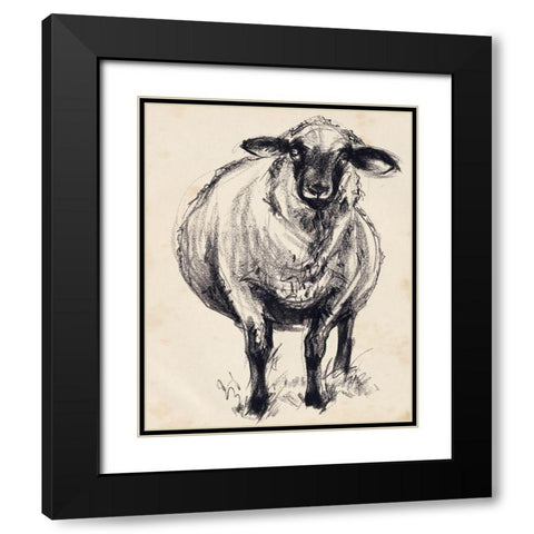 Charcoal Sheep II Black Modern Wood Framed Art Print with Double Matting by Parker, Jennifer Paxton