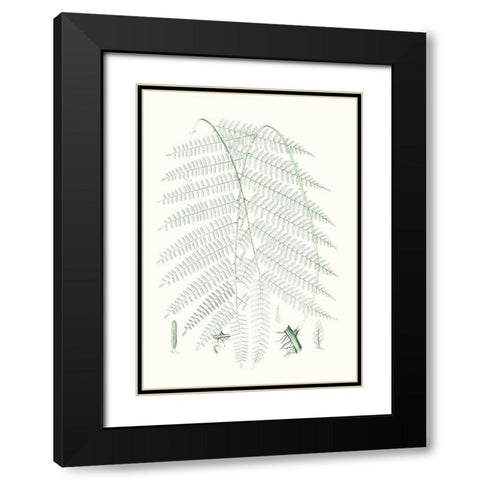 Verdure Ferns I Black Modern Wood Framed Art Print with Double Matting by Vision Studio