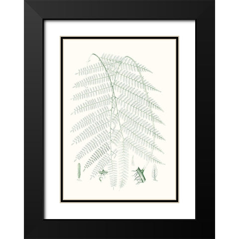 Verdure Ferns I Black Modern Wood Framed Art Print with Double Matting by Vision Studio