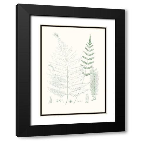 Verdure Ferns II Black Modern Wood Framed Art Print with Double Matting by Vision Studio