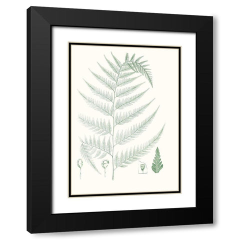 Verdure Ferns III Black Modern Wood Framed Art Print with Double Matting by Vision Studio