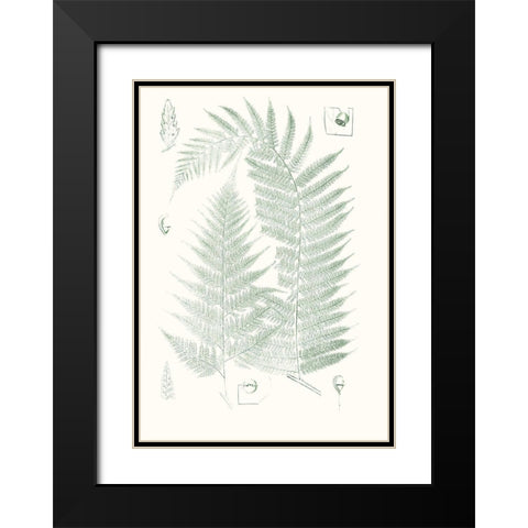 Verdure Ferns IV Black Modern Wood Framed Art Print with Double Matting by Vision Studio