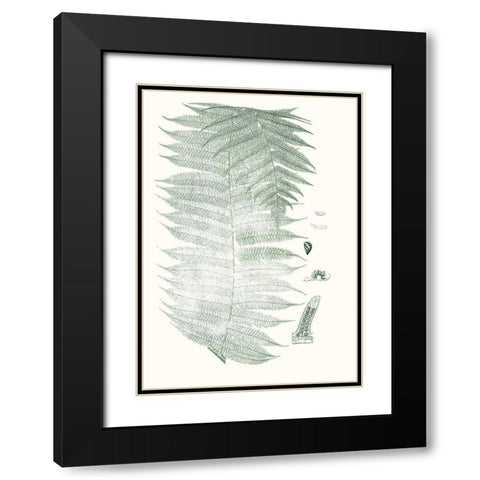 Verdure Ferns VI Black Modern Wood Framed Art Print with Double Matting by Vision Studio