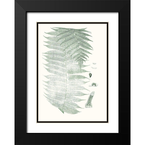 Verdure Ferns VI Black Modern Wood Framed Art Print with Double Matting by Vision Studio