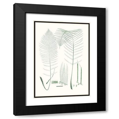 Verdure Ferns VII Black Modern Wood Framed Art Print with Double Matting by Vision Studio