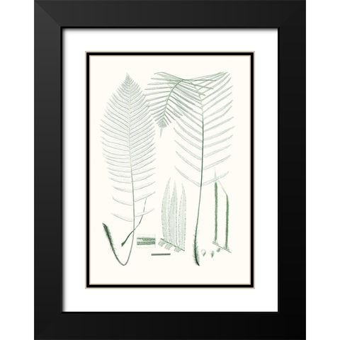 Verdure Ferns VII Black Modern Wood Framed Art Print with Double Matting by Vision Studio