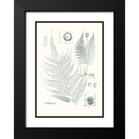 Verdure Ferns VIII Black Modern Wood Framed Art Print with Double Matting by Vision Studio