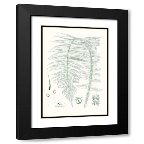 Verdure Ferns IX Black Modern Wood Framed Art Print with Double Matting by Vision Studio