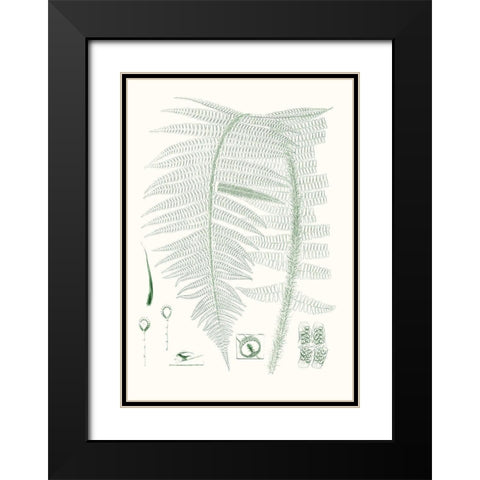 Verdure Ferns IX Black Modern Wood Framed Art Print with Double Matting by Vision Studio