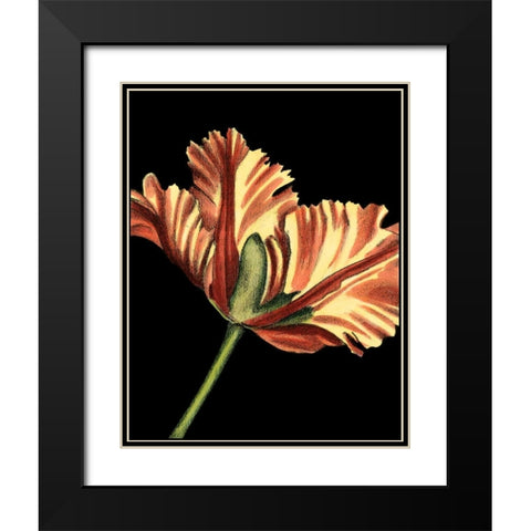 Vibrant Tulips I Black Modern Wood Framed Art Print with Double Matting by Harper, Ethan