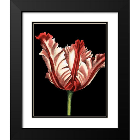 Vibrant Tulips II Black Modern Wood Framed Art Print with Double Matting by Harper, Ethan
