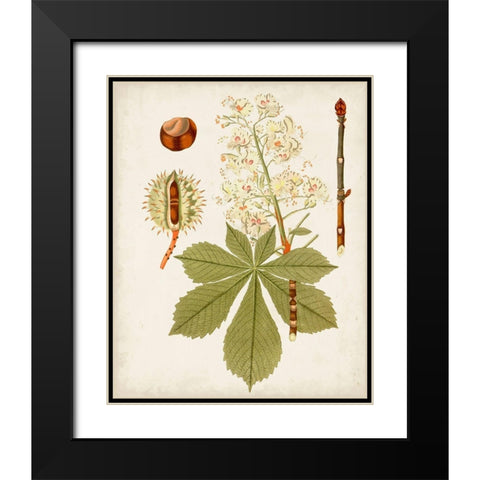 Antique Leaves VIII Black Modern Wood Framed Art Print with Double Matting by Unknown