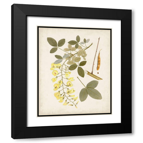 Vintage Flowering Trees VII Black Modern Wood Framed Art Print with Double Matting by Unknown