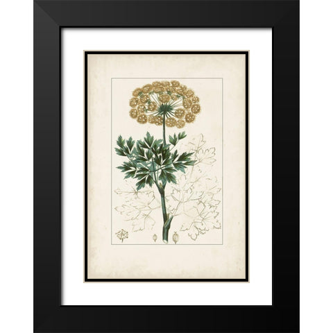 Antique Turpin Botanical VI Black Modern Wood Framed Art Print with Double Matting by Turpin