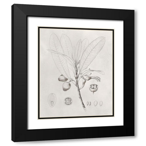 Vintage Leaves I Black Modern Wood Framed Art Print with Double Matting by Vision Studio