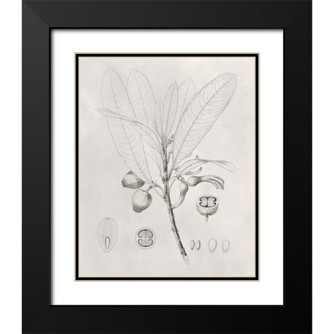 Vintage Leaves I Black Modern Wood Framed Art Print with Double Matting by Vision Studio