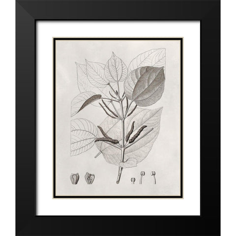 Vintage Leaves III Black Modern Wood Framed Art Print with Double Matting by Vision Studio