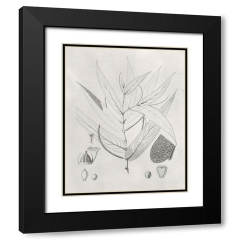 Vintage Leaves IV Black Modern Wood Framed Art Print with Double Matting by Vision Studio