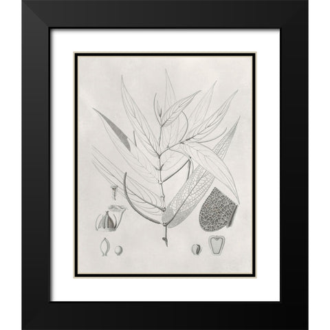 Vintage Leaves IV Black Modern Wood Framed Art Print with Double Matting by Vision Studio