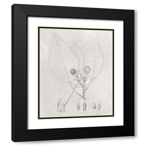 Vintage Leaves V Black Modern Wood Framed Art Print with Double Matting by Vision Studio