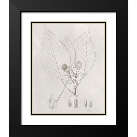 Vintage Leaves V Black Modern Wood Framed Art Print with Double Matting by Vision Studio