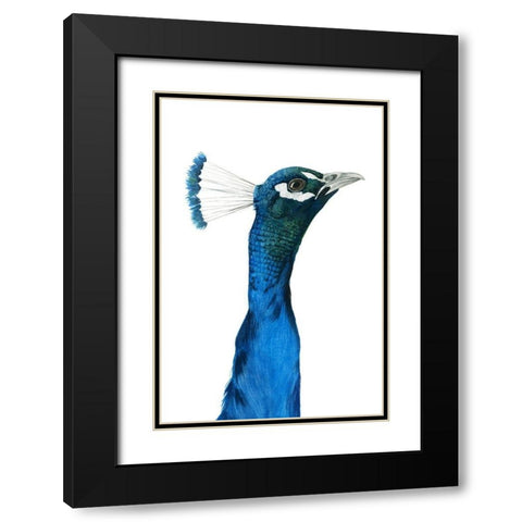 Peacock Portrait I Black Modern Wood Framed Art Print with Double Matting by Popp, Grace