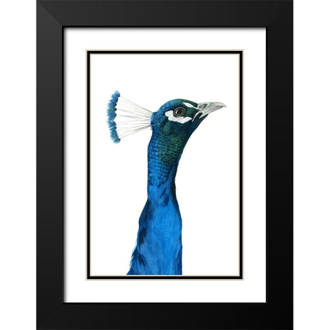 Peacock Portrait I Black Modern Wood Framed Art Print with Double Matting by Popp, Grace