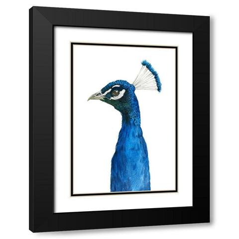 Peacock Portrait II Black Modern Wood Framed Art Print with Double Matting by Popp, Grace