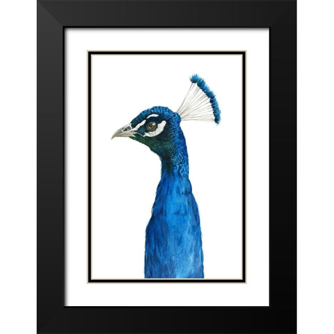 Peacock Portrait II Black Modern Wood Framed Art Print with Double Matting by Popp, Grace