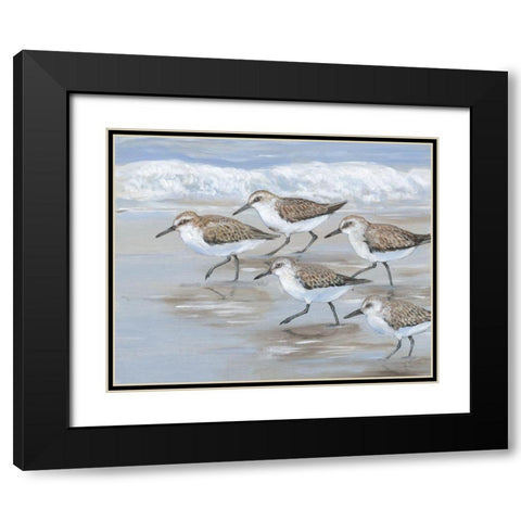 Sandpipers I Black Modern Wood Framed Art Print with Double Matting by OToole, Tim