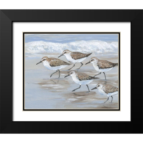 Sandpipers I Black Modern Wood Framed Art Print with Double Matting by OToole, Tim