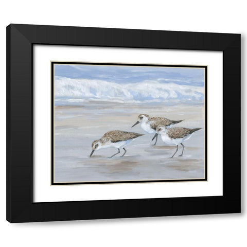 Sandpipers II Black Modern Wood Framed Art Print with Double Matting by OToole, Tim