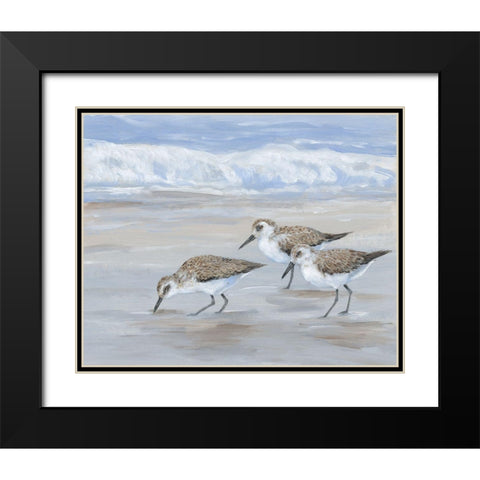 Sandpipers II Black Modern Wood Framed Art Print with Double Matting by OToole, Tim